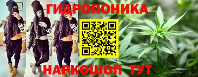 спиды Гусев