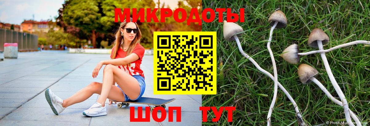 Псилоцибиновые грибы ЛСД  Псилоцибиновые грибы Magic Shrooms  Приморско-Ахтарск  Вход с VPN 