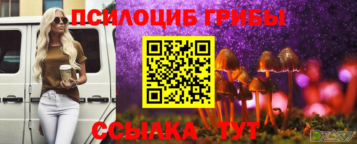 Псилоцибиновые грибы мицелий Приморско-Ахтарск